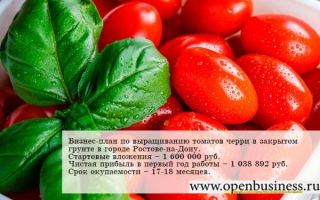 Бизнес-план по выращиванию томатов черри в закрытом грунте